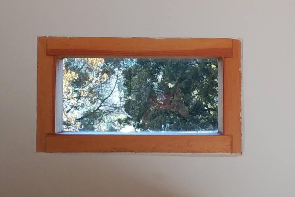 Buena Vista Leilighet San Carlos de Bariloche Eksteriør bilde