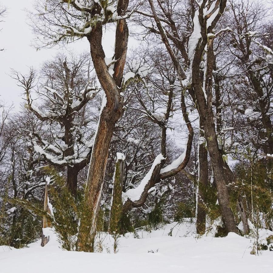 Buena Vista Leilighet San Carlos de Bariloche Eksteriør bilde